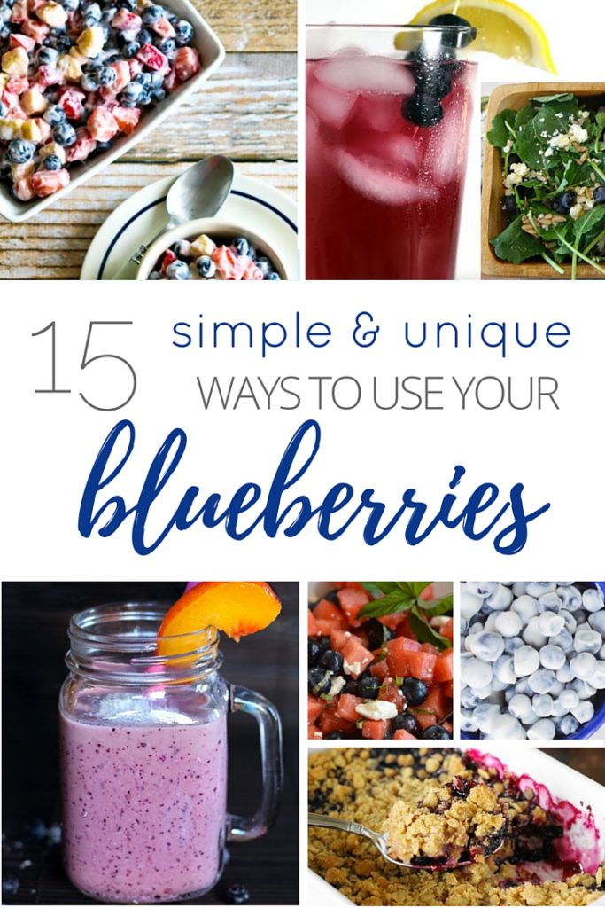 blueberryrecipes