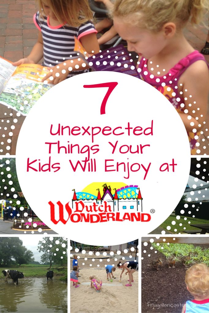 7 unexpected things your kids will enjoy