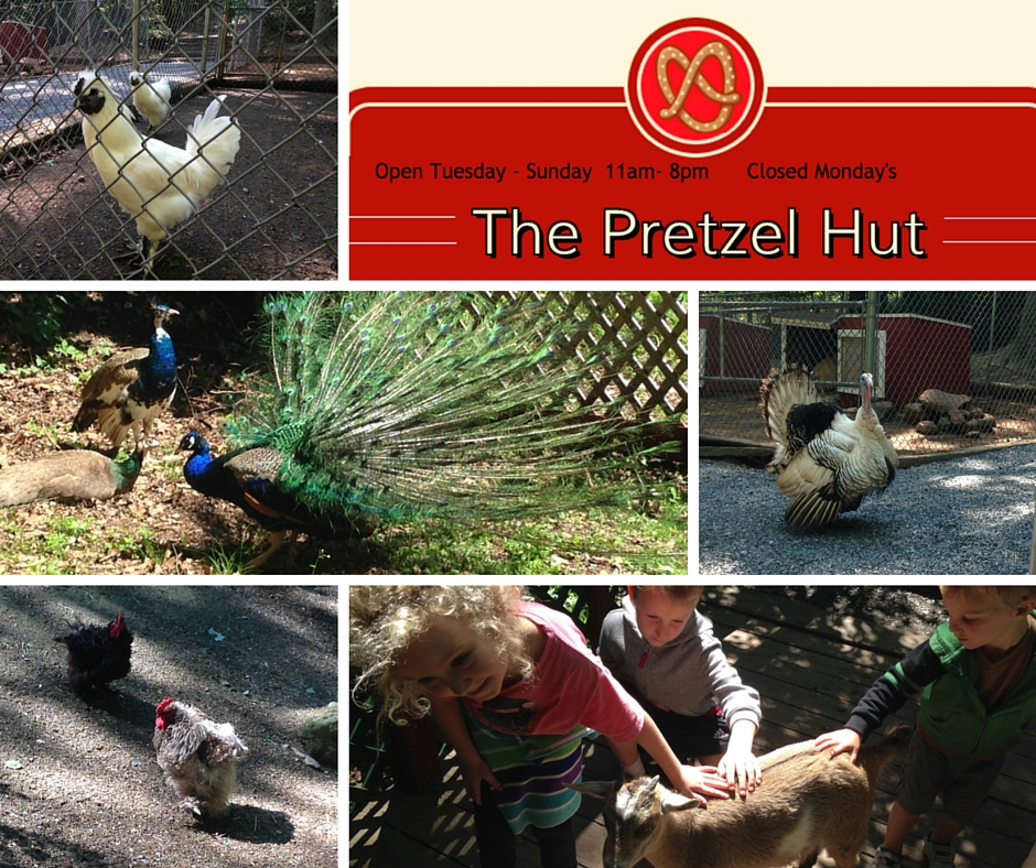 pretzel hut petting zoo