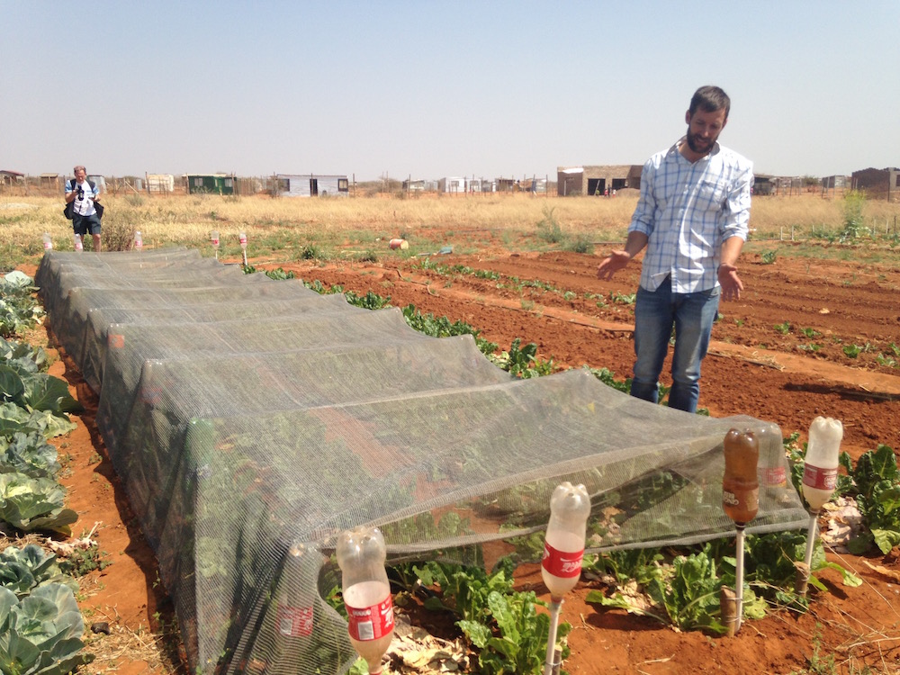 south africa advocacy agriculture drip irrigation