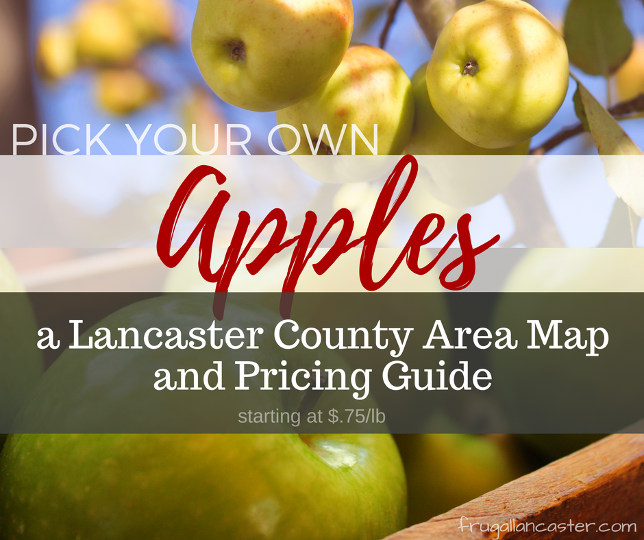 pick-your-own-apples in lancaster county, pa