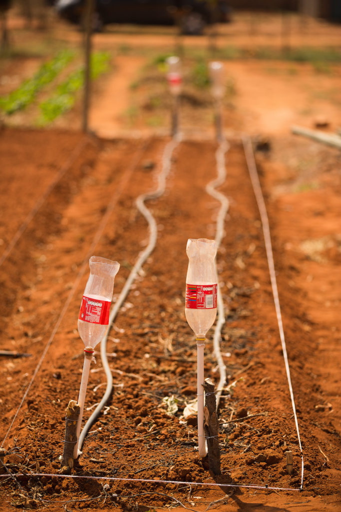take action south africa drip irrigation system maubane
