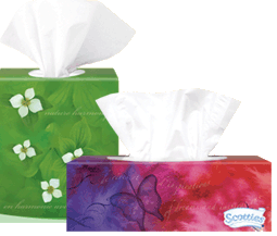 scotties tissues