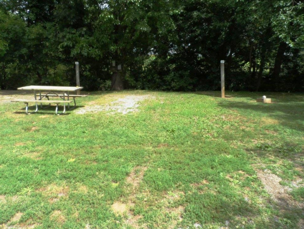 Screen Shot 2016-06-22 at 6.49.41 AM