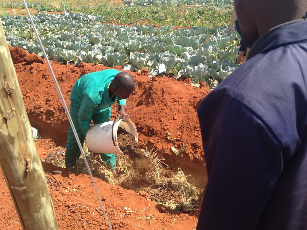 take action south africa agriculture