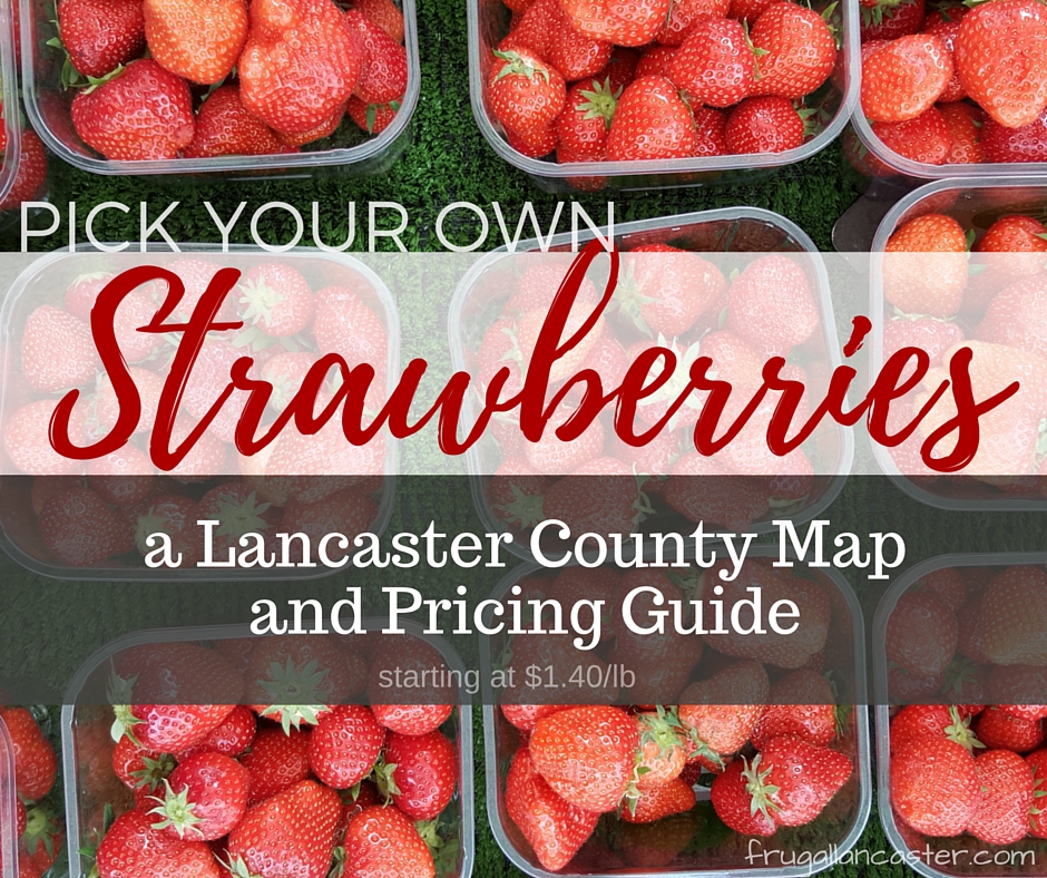 Pick Your Own Strawberries In Lancaster County — A Google Map and