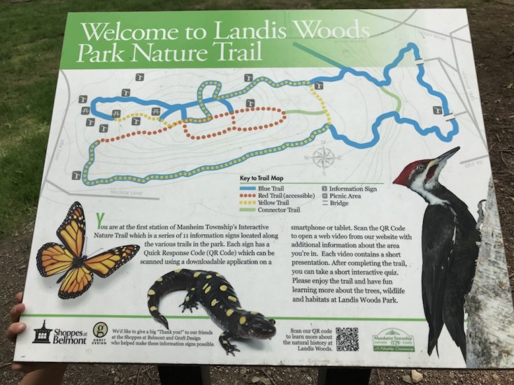 Landis Woods Hiking Trails
