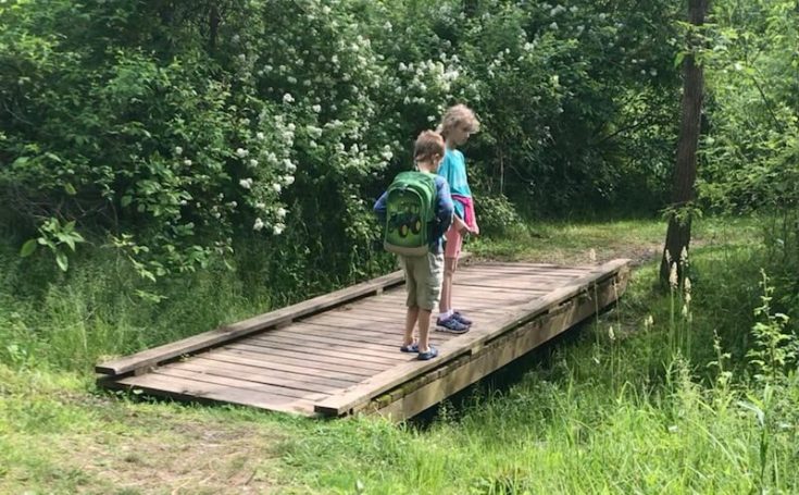 Speedwell Forge Hiking Trail: Family-Friendly