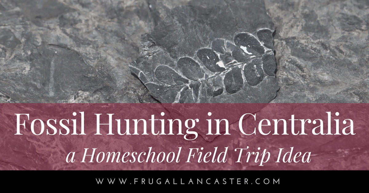 Fossil Hunting in Centralia, PA - Frugal Lancaster